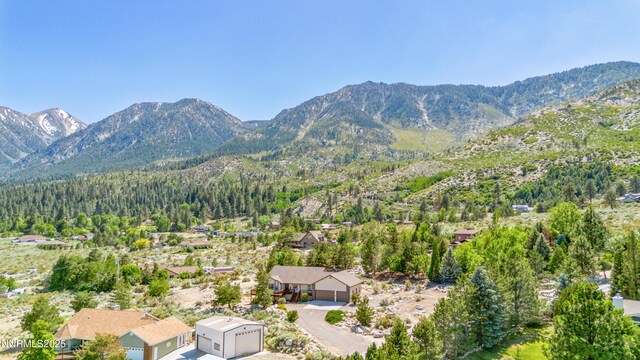 219 Jobe Ct, Gardnerville, NV 89460 - photo 46