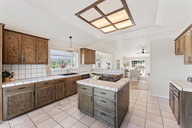 219 Jobe Ct, Gardnerville, NV 89460 - photo 11