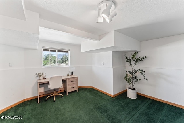 219 Jobe Ct, Gardnerville, NV 89460 - photo 32