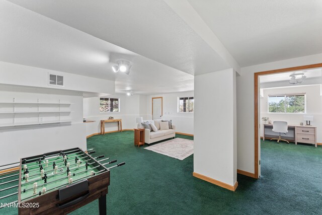 219 Jobe Ct, Gardnerville, NV 89460 - photo 34