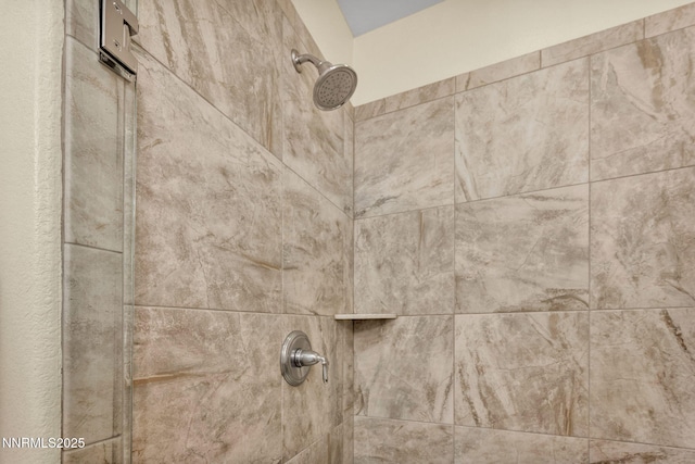 2222 Nasrullah Ln, Reno, NV 89521 - bathroom view of tiled shower