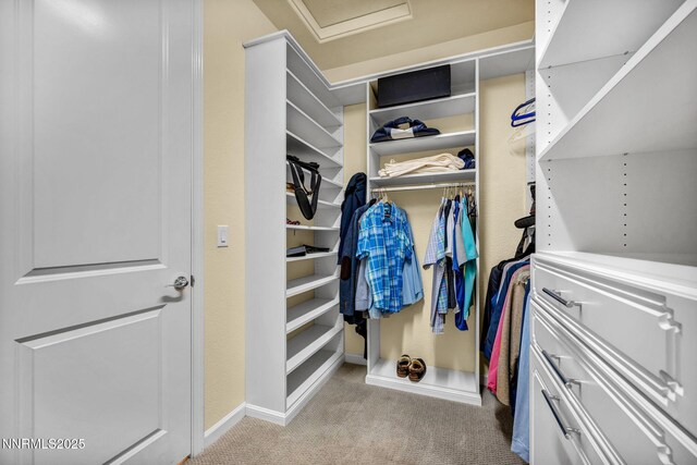 2222 Nasrullah Ln, Reno, NV 89521 - spacious closet with light carpet