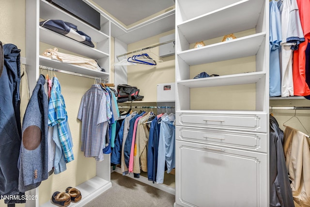 2222 Nasrullah Ln, Reno, NV 89521 - walk in closet with carpet flooring