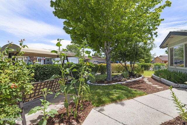 1914 Hamilton Ave, Carson City, NV 89706 - photo 7