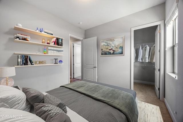 698 Raptor Way, Fernley, NV 89408 - carpeted bedroom with a walk in closet and a closet