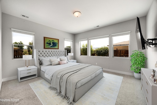 698 Raptor Way, Fernley, NV 89408 - bedroom featuring light colored carpet