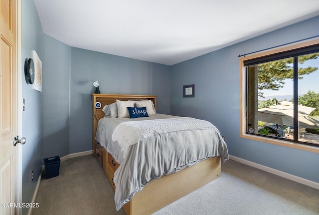 4404 Dant Blvd, Reno, NV 89509 - photo 37