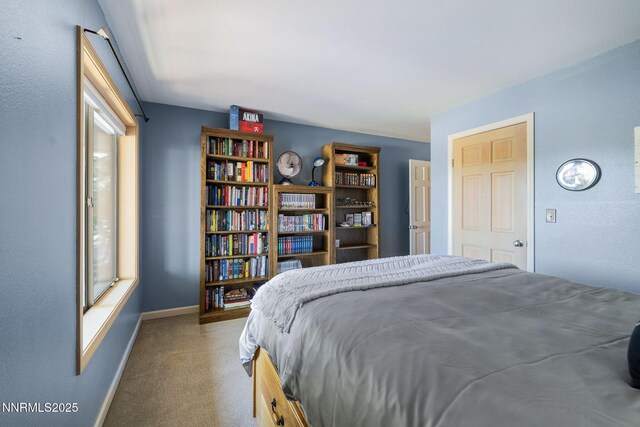4404 Dant Blvd, Reno, NV 89509 - photo 38