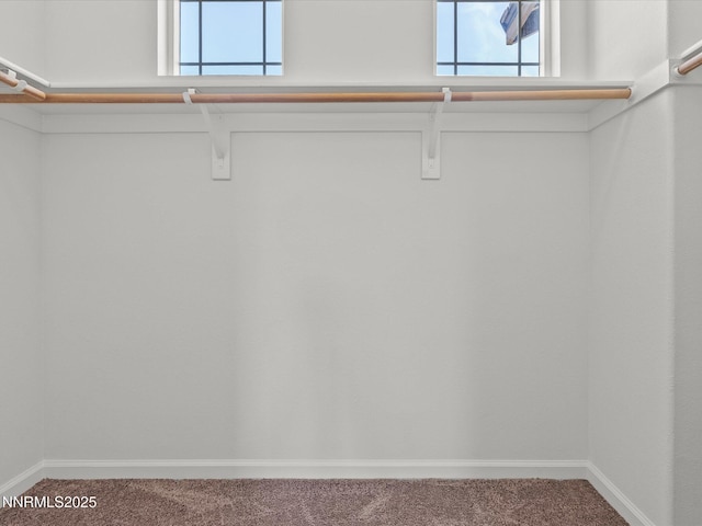 6645 Peppergrass Dr, Sparks, NV 89436 - photo 25