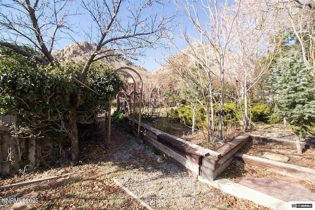 1016 S C St, Virginia City, NV 89440 - view of yard