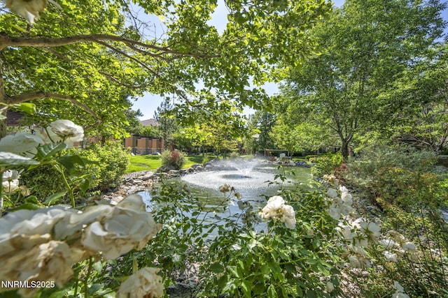 9900 Wilbur May Pkwy Apt 5102, Reno, NV 89521 - view of yard with a garden pond