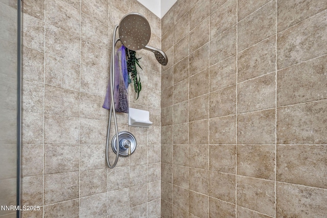 9900 Wilbur May Pkwy Apt 5102, Reno, NV 89521 - bathroom view of tiled shower