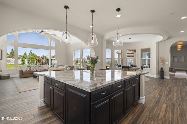 5427 Salmon River Ct, Reno, NV 89511 - kitchen with arched walkways, open floor plan, dark cabinetry, wood finished floors, and recessed lighting