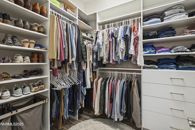 5427 Salmon River Ct, Reno, NV 89511 - spacious closet featuring wood finished floors