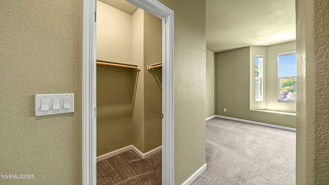 225 Gramercy Ln, Reno, NV 89509 - view of closet