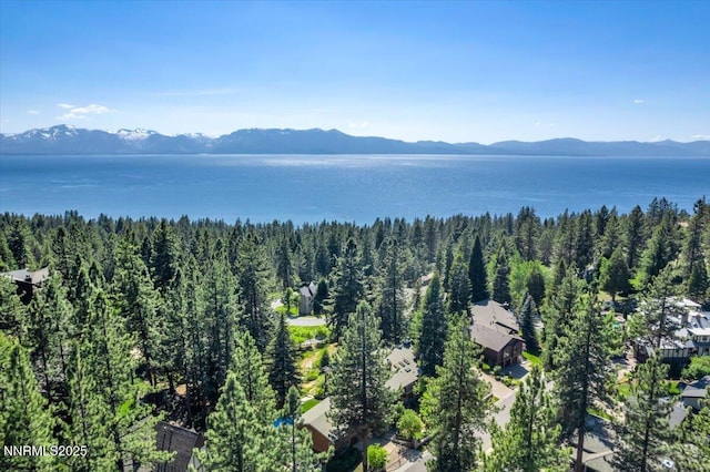 1263 Hidden Woods Dr, Zephyr Cove, NV 89413 - drone / aerial view of a water and mountain view and a heavily wooded area