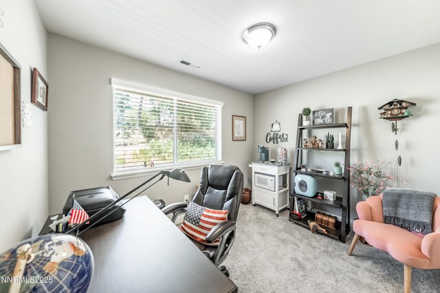 1284 Saltern Dr, Carson City, NV 89706 - photo 21
