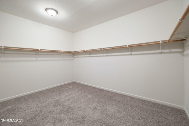14144 American Pillar Ct, Reno, NV 89511 - walk in closet featuring carpet