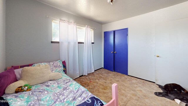 3030 Sage Heights Dr, Winnemucca, NV 89445 - photo 8