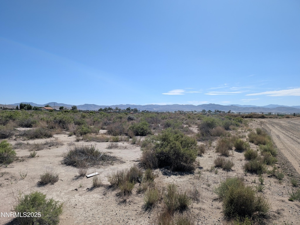0 Cardon Ln, Yerington, NV 89447 - photo 2