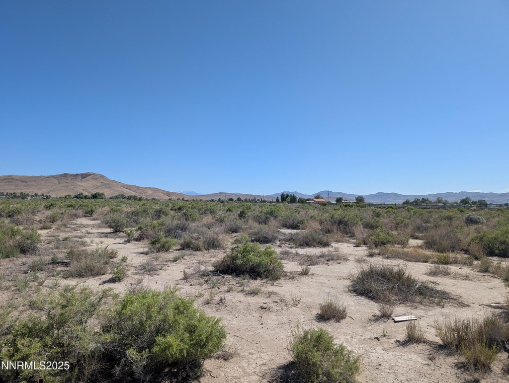 0 Cardon Ln, Yerington, NV 89447 - photo 3