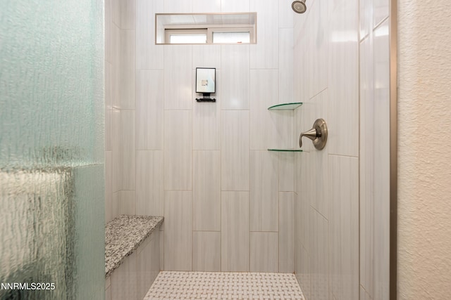 113 Denio Dr, Dayton, NV 89403 - full bath featuring tiled shower