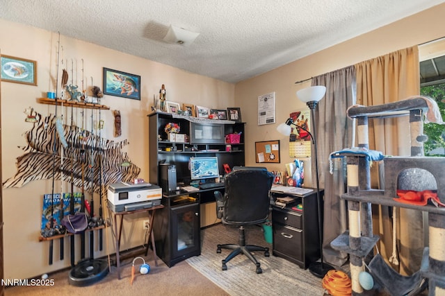 2455 Coppa Way, Sparks, NV 89431 - office space featuring carpet and a textured ceiling