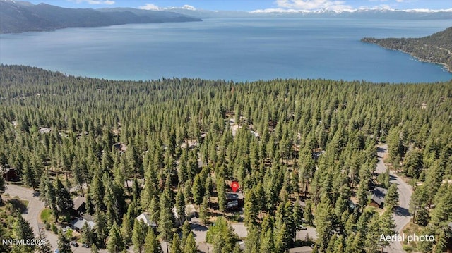 650 Tumbleweed Cir, Incline Village, NV 89451 - bird's eye view of a forest and a water and mountain view