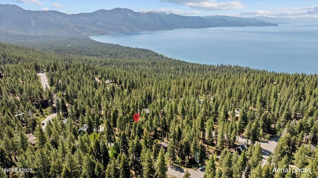 650 Tumbleweed Cir, Incline Village, NV 89451 - bird's eye view of a forest and a water and mountain view