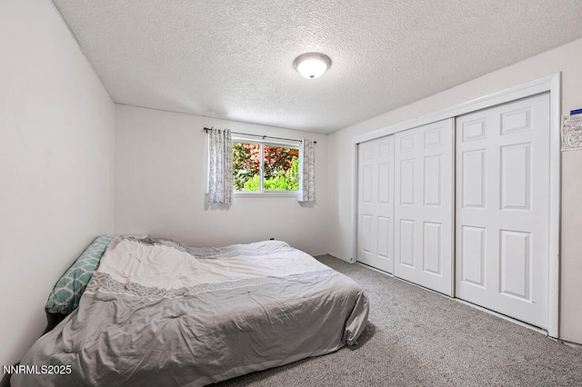 1009 E Robinson St, Carson City, NV 89701 - bedroom featuring carpet, a textured ceiling, and a closet