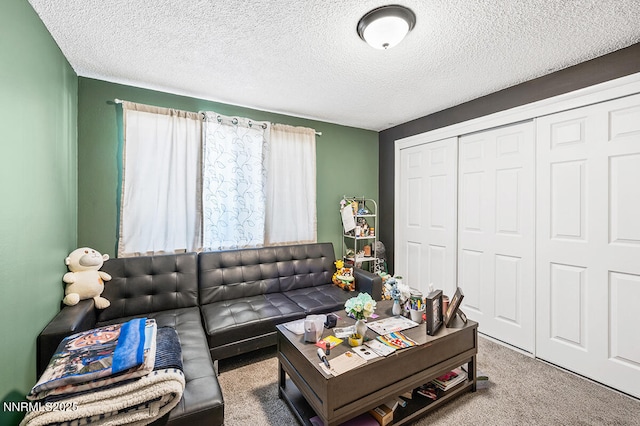 1009 E Robinson St, Carson City, NV 89701 - carpeted living room featuring a textured ceiling