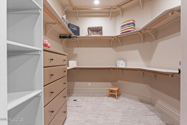2550 Old Waverly Ct, Sparks, NV 89436 - spacious closet featuring light colored carpet