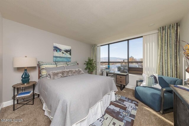 450 N Arlington Ave Unit 715, Reno, NV 89503 - carpeted bedroom featuring baseboards