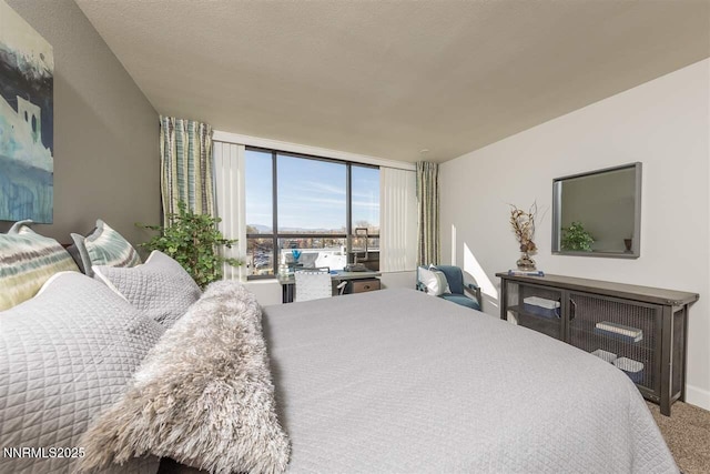 450 N Arlington Ave Unit 715, Reno, NV 89503 - view of carpeted bedroom