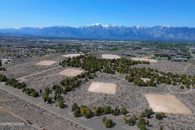 2020 Currant Ct Unit 3, Gardnerville, NV 89410