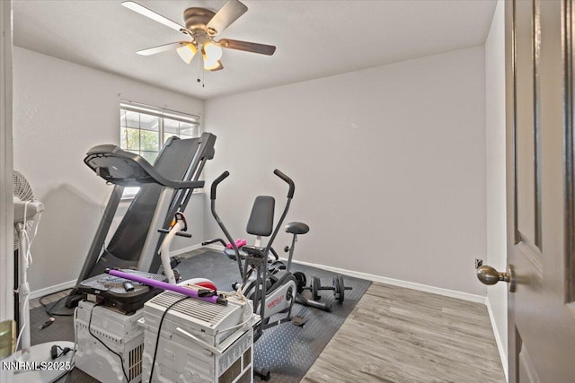 1510 E Slide Mountain Dr, Carson City, NV 89706 - workout room with a ceiling fan and wood finished floors