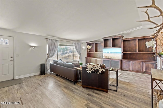 1510 E Slide Mountain Dr, Carson City, NV 89706 - living area with vaulted ceiling and light wood-type flooring
