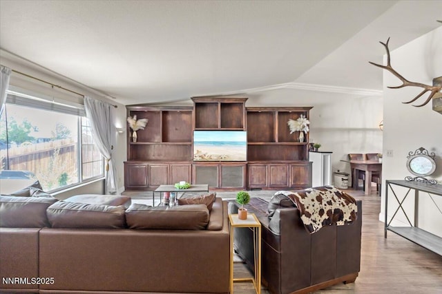 1510 E Slide Mountain Dr, Carson City, NV 89706 - living room with vaulted ceiling and light wood finished floors