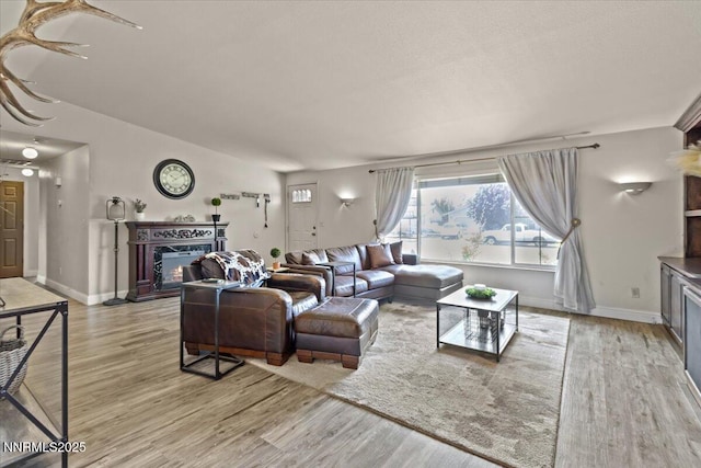 1510 E Slide Mountain Dr, Carson City, NV 89706 - living area featuring a glass covered fireplace and light wood-type flooring