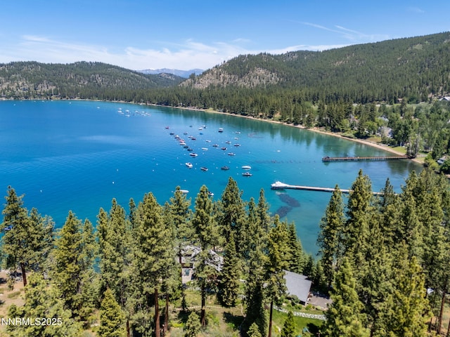 187 Yellow Jacket Rd, Glenbrook, NV 89413 - water view featuring a heavily wooded area and mountains