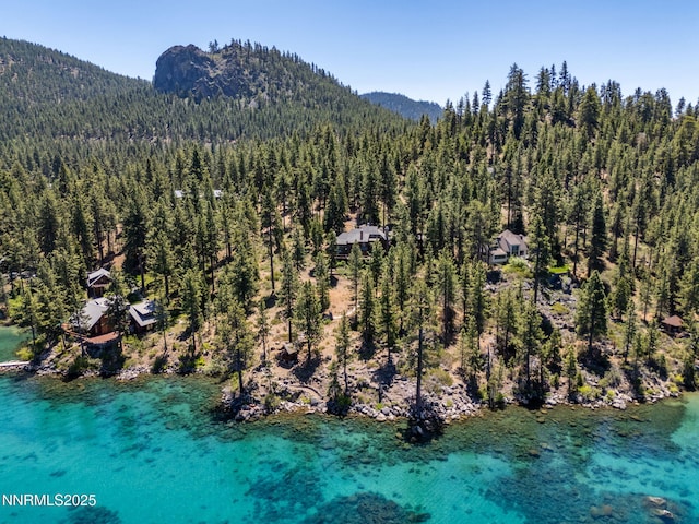 187 Yellow Jacket Rd, Glenbrook, NV 89413 - drone / aerial view of a forest and a mountainous background