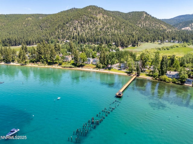 187 Yellow Jacket Rd, Glenbrook, NV 89413 - water view featuring mountains and a forest