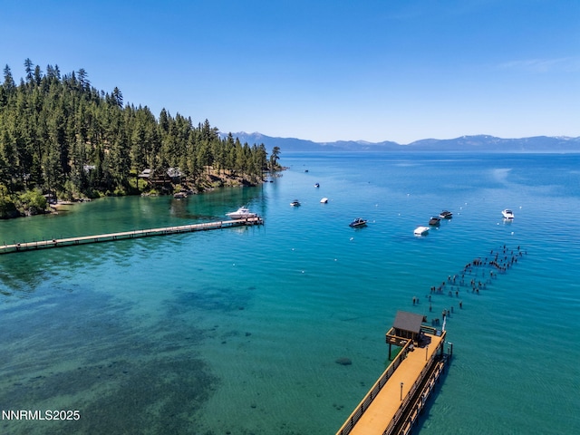 187 Yellow Jacket Rd, Glenbrook, NV 89413 - water view featuring mountains