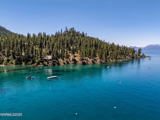 187 Yellow Jacket Rd, Glenbrook, NV 89413 - water view featuring a heavily wooded area and a mountainous background