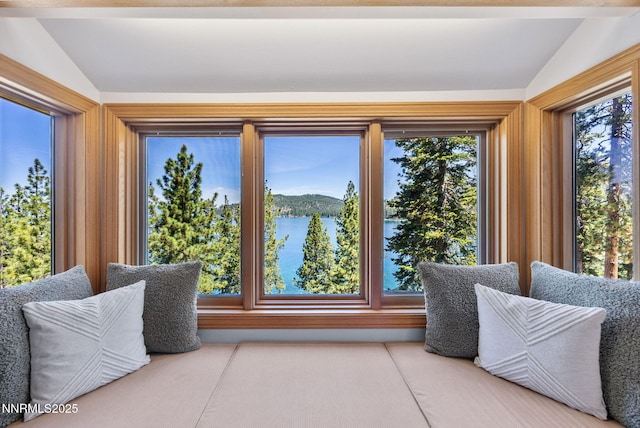 187 Yellow Jacket Rd, Glenbrook, NV 89413 - sunroom featuring vaulted ceiling, a water view, and plenty of natural light
