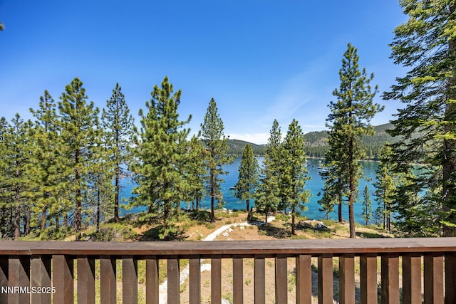187 Yellow Jacket Rd, Glenbrook, NV 89413 - water view