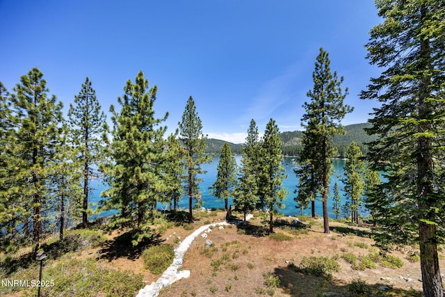 187 Yellow Jacket Rd, Glenbrook, NV 89413 - water view featuring a mountain backdrop