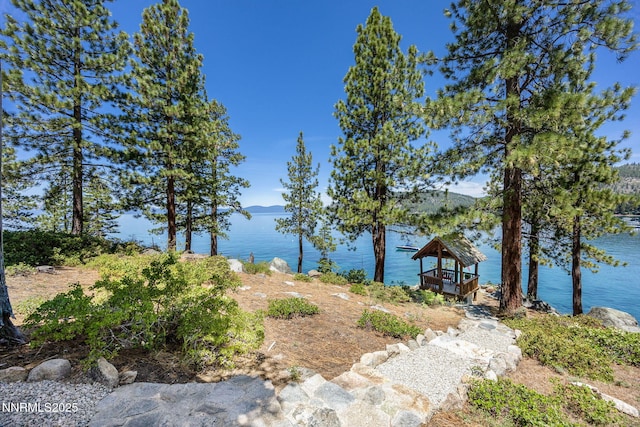 187 Yellow Jacket Rd, Glenbrook, NV 89413 - water view with a gazebo