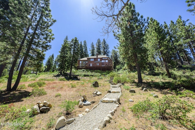 187 Yellow Jacket Rd, Glenbrook, NV 89413 - view of yard with a wooden deck