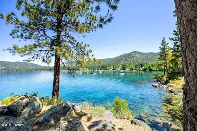 187 Yellow Jacket Rd, Glenbrook, NV 89413 - water view with mountains and a forest